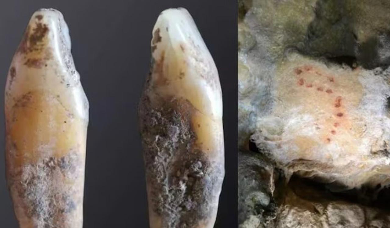 Oldest human genome from 23,000-year-old individual recovered in Spain