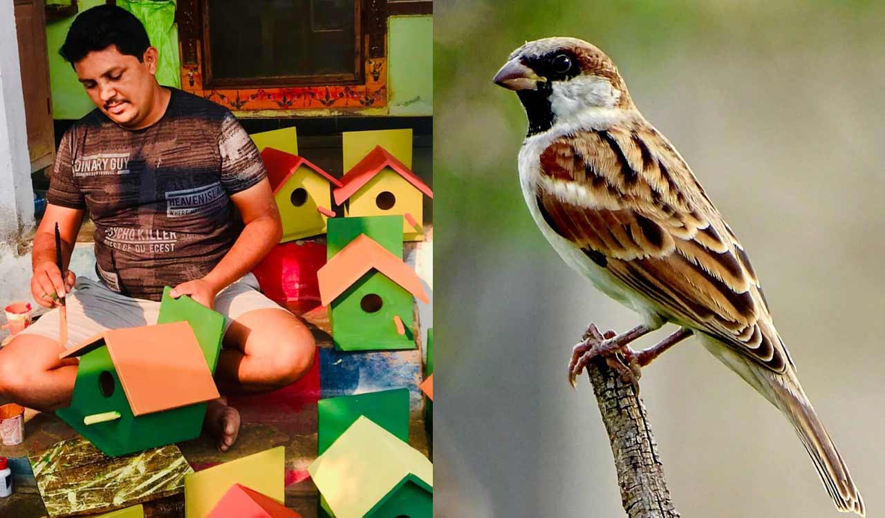 World Sparrow Day: Bird lover builds nests with bamboo for sparrows
