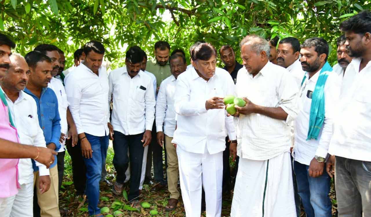 Telangana Govt To Support To Hailstorm-hit Farmers: Vinod Kumar ...