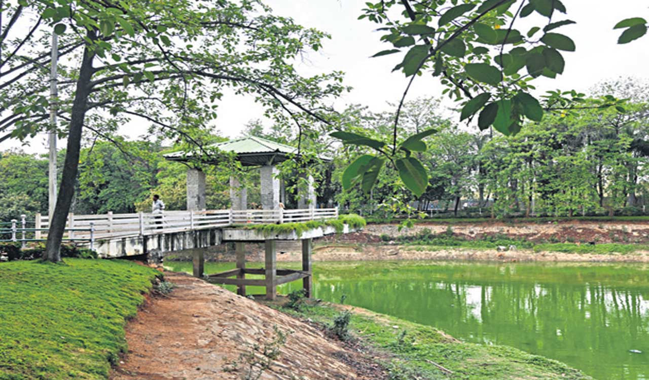Hyderabad: Boating facility soon at KLN Yadav Park