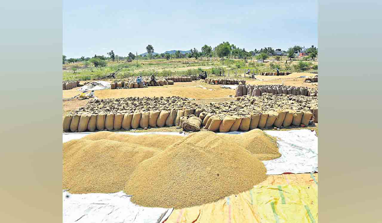 Grain adulteration high in BJP States