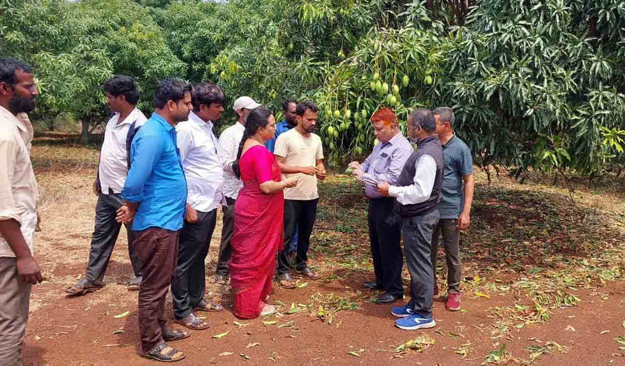 Crops in 750 acres suffered damage in Sangareddy district