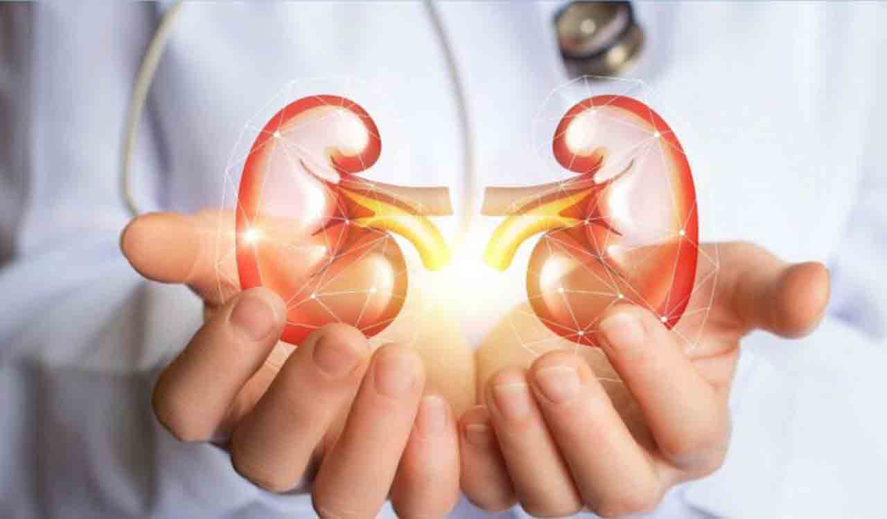 On World Kidney Day, here are some tips to keep them healthy