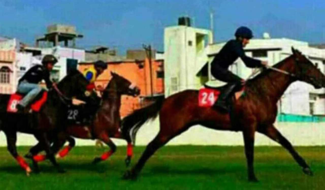 Horse Racing: Shamrock fancied for Bengaluru feature