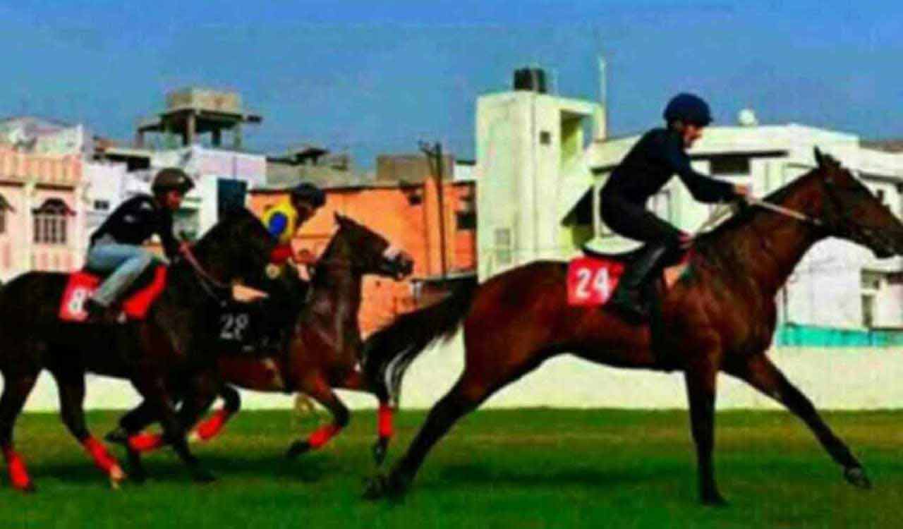 Horse Racing: Wonderfull Lady fancied for Delhi feature