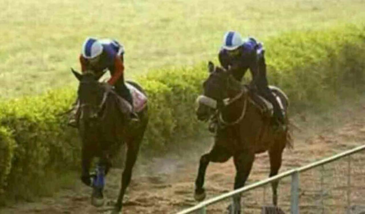Horse Racing: New Look fancied for Kolkata feature