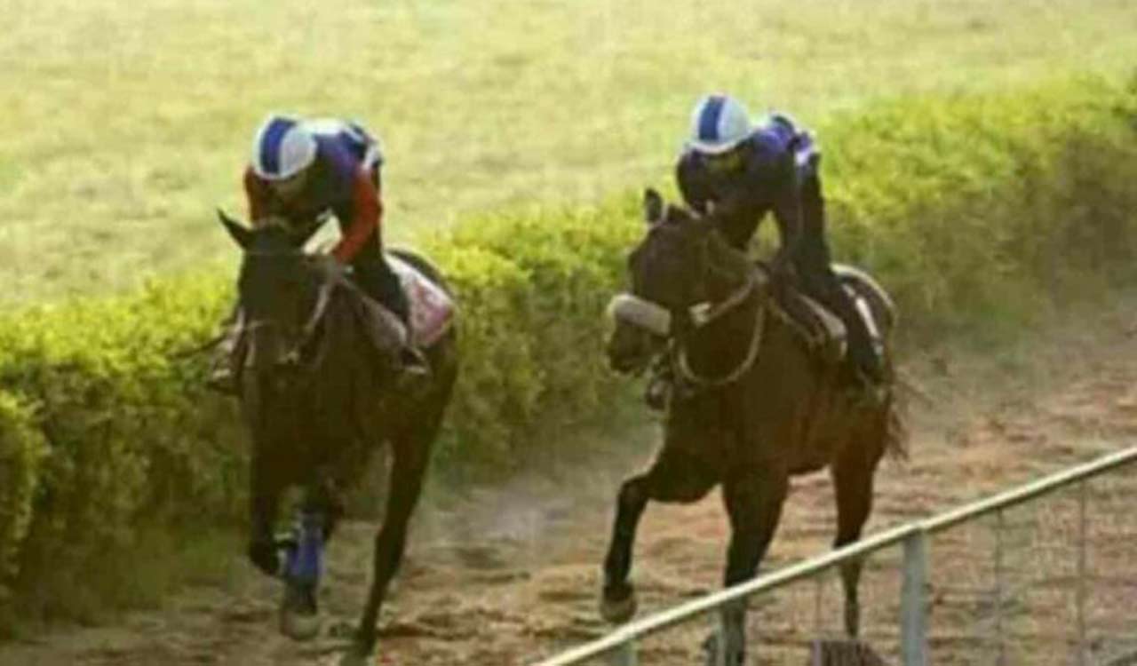 Horse Racing: Night Passion fancied for Delhi feature