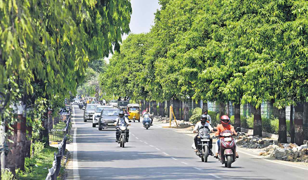 Rain spell helps Hyderabad breathe easy