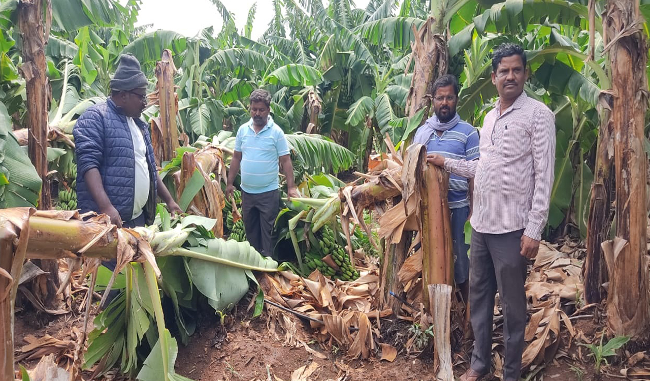 Mogudampally in Sangareddy district receives heaviest rain in Telangana ...