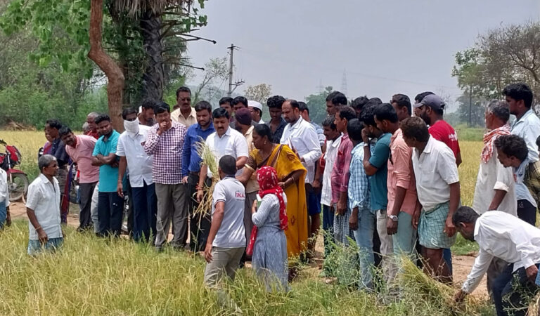 2238jangaon Collector Shiva