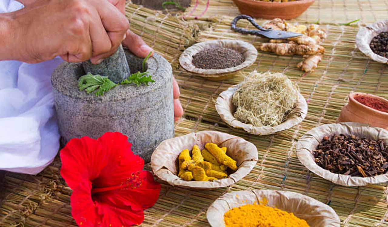 Ayurveda doctors not entitled to pay equivalent to MBBS doctors, says Supreme Court