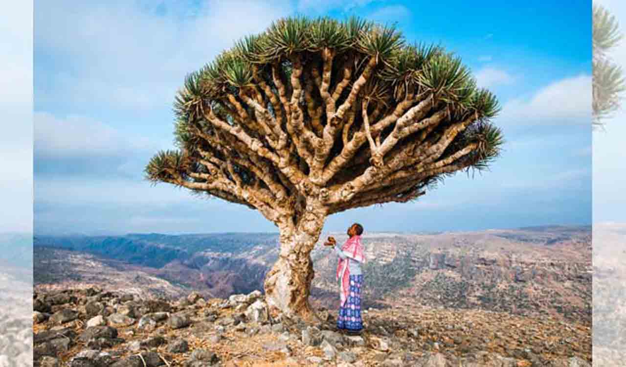 City Nature Challenge comes to Hyderabad, starts from April 28