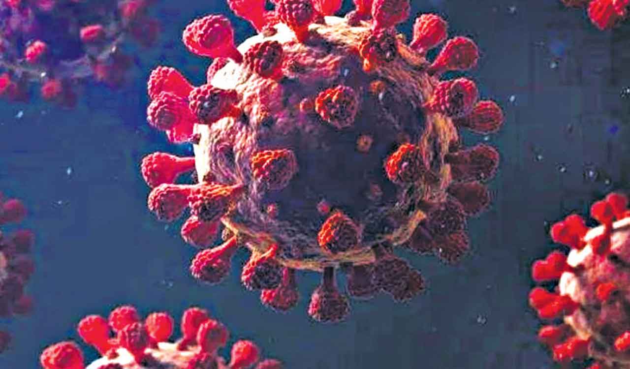 Health and Tech: Measures to improve immunity during Covid times