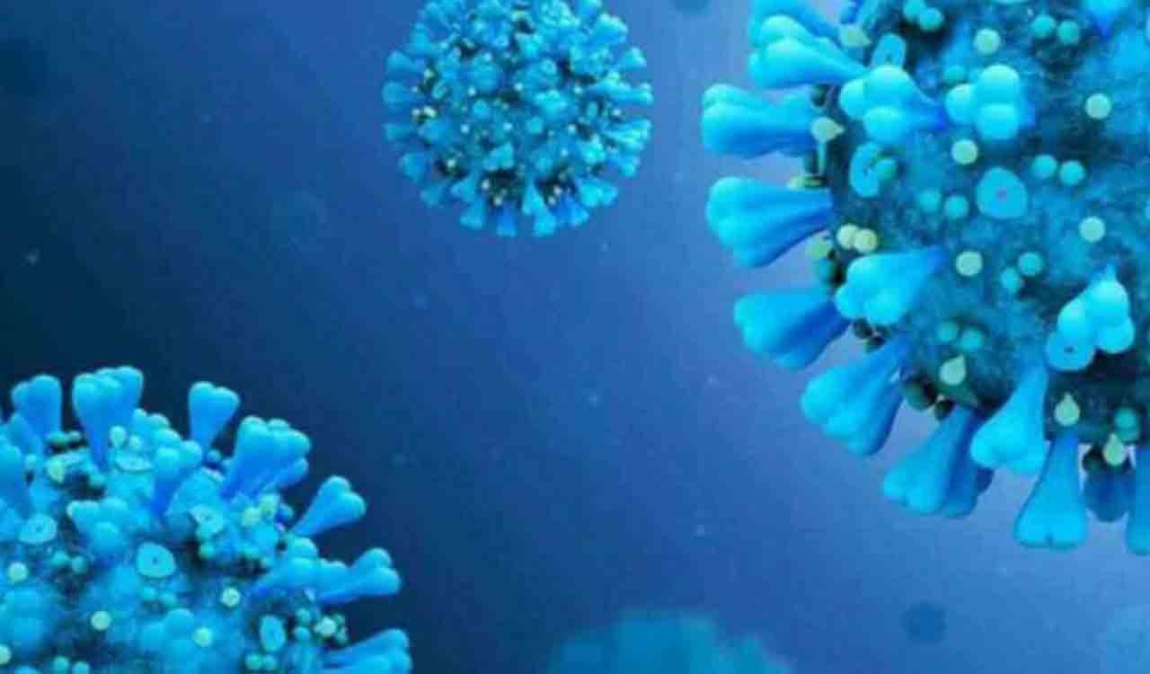 ‘XBB 1.16 variant accounts for 38.2% of Covid infection in India’