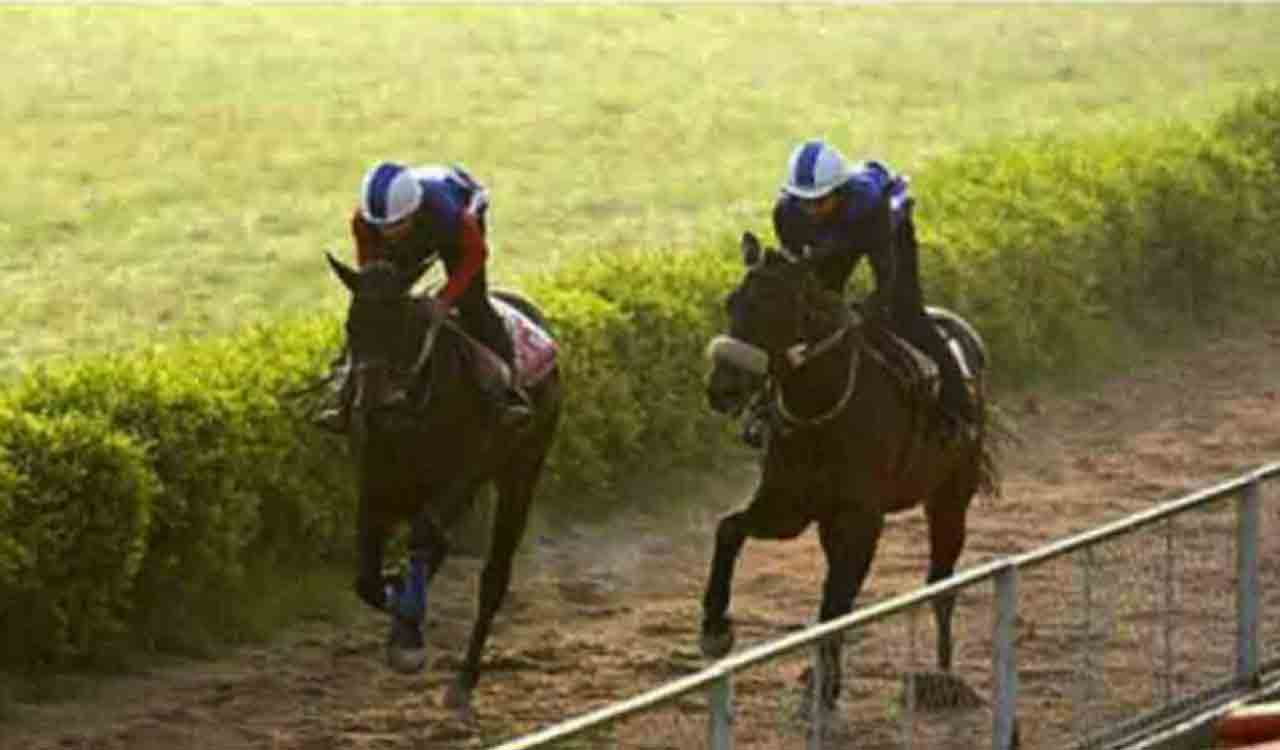 Horse Racing: Anglia has the edge in Delhi feature
