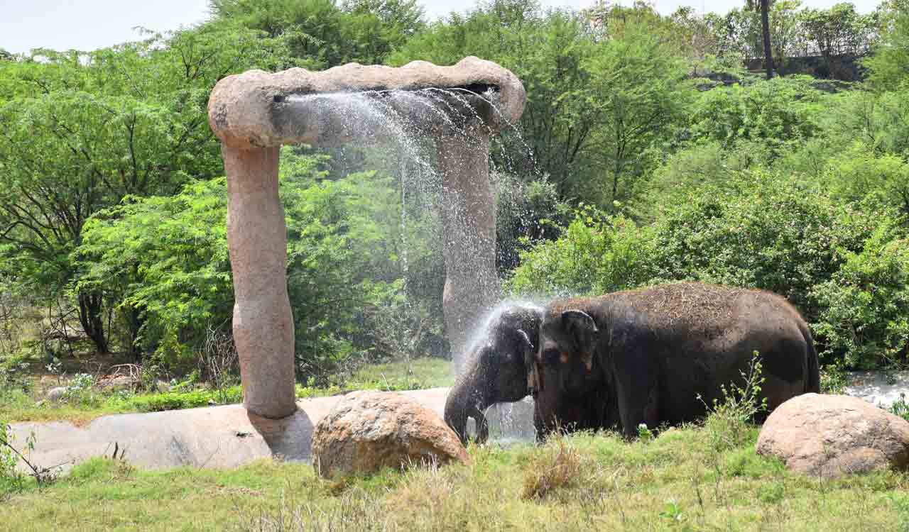 Hyderabad Zoo takes measures to protect animals from summer heat