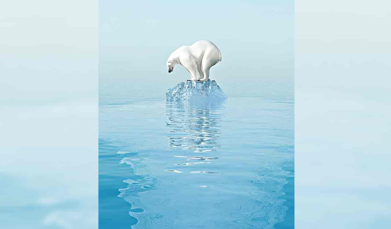 Rewind: Ice will not suffice