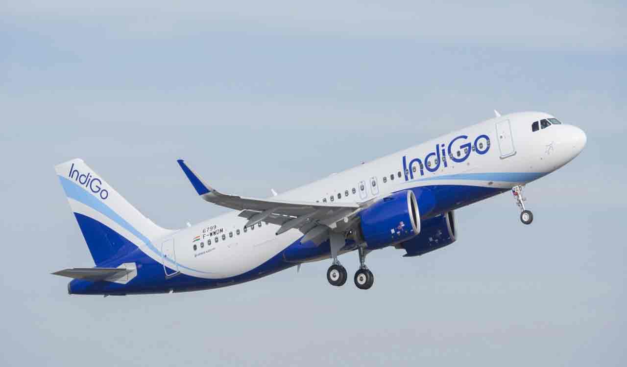 Drunk elderly Swede molests IndiGo hostess on Bangkok-Mumbai flight, nabbed