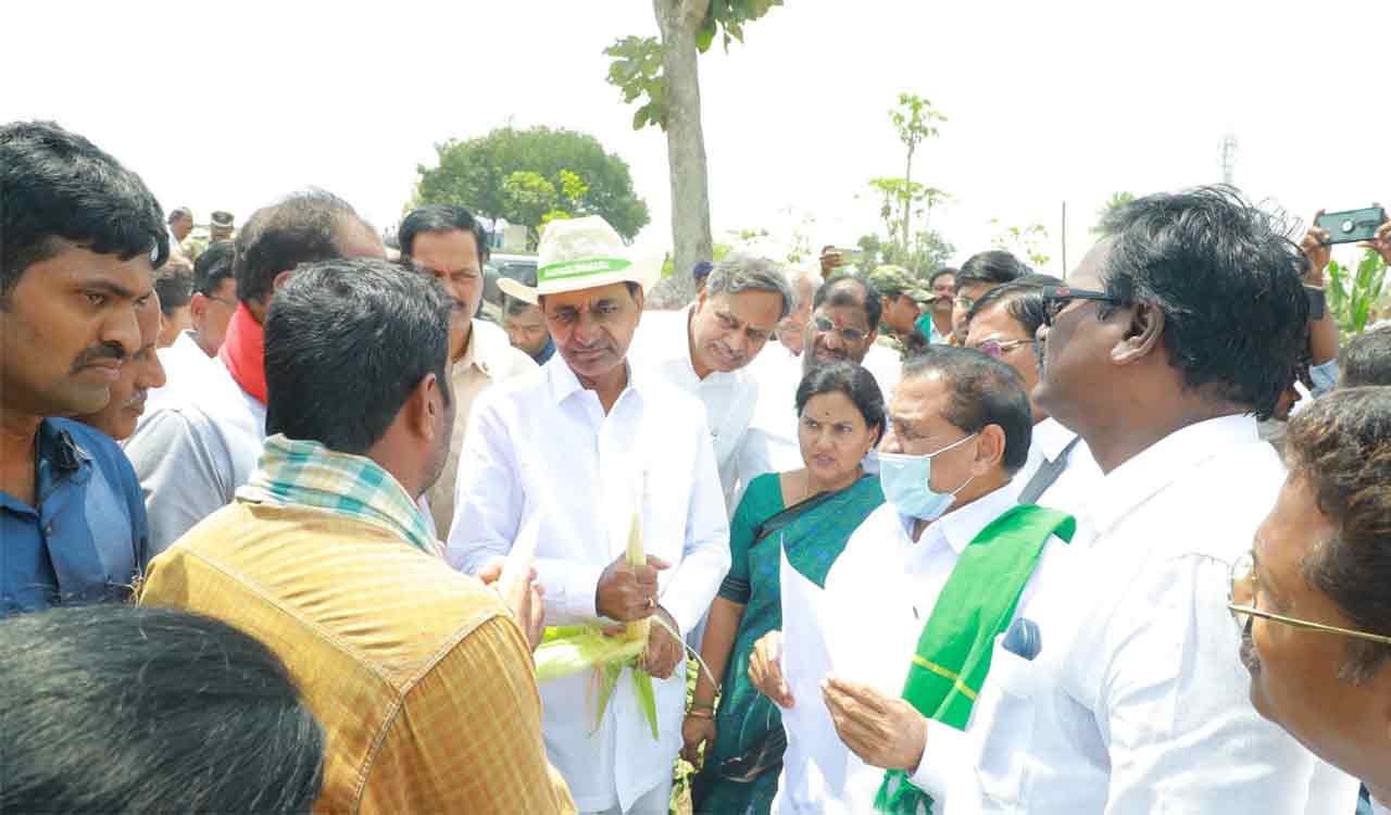 Khammam: Govt releases Rs 25.06 crore towards compensation for crop damage
