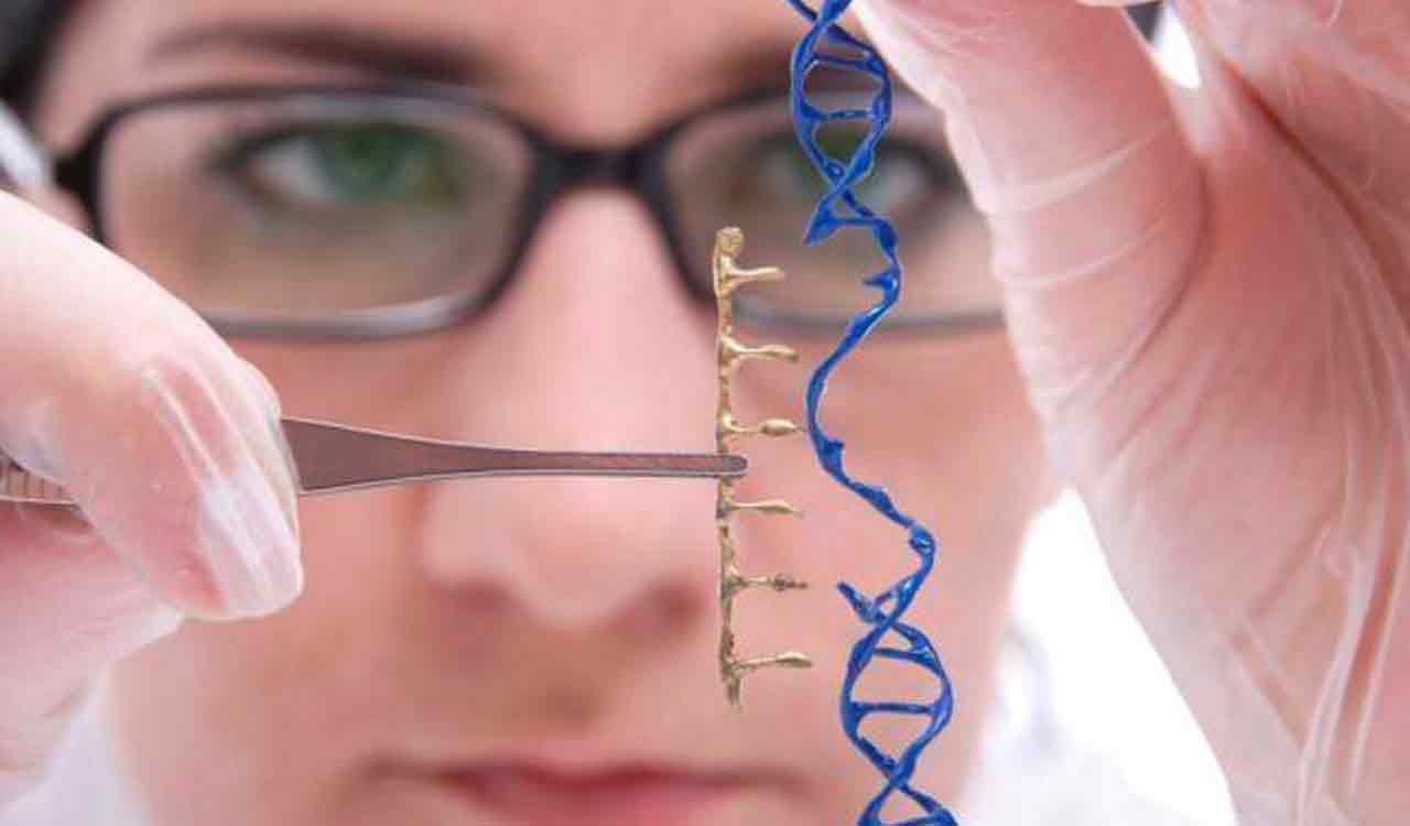 Osmania University opens life-sciences course to doctors, engineers