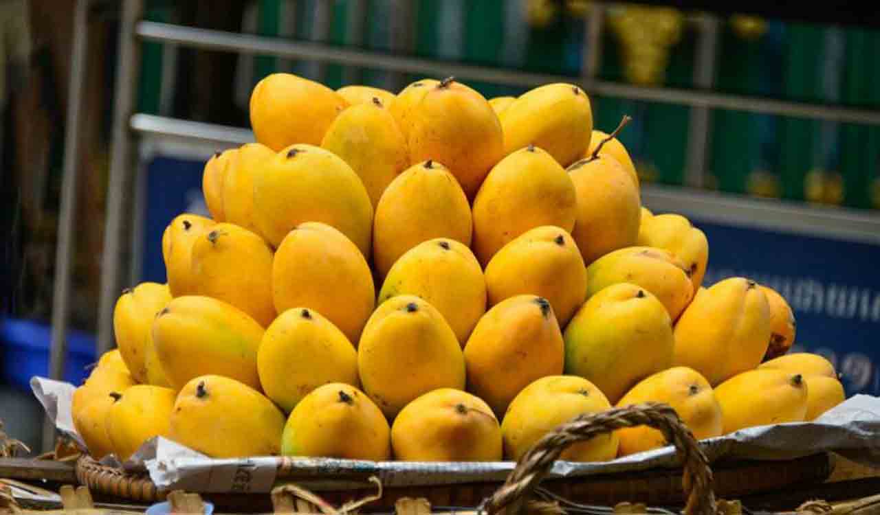 As mango prices soar, this Maharashtra trader offers king of fruits on EMI