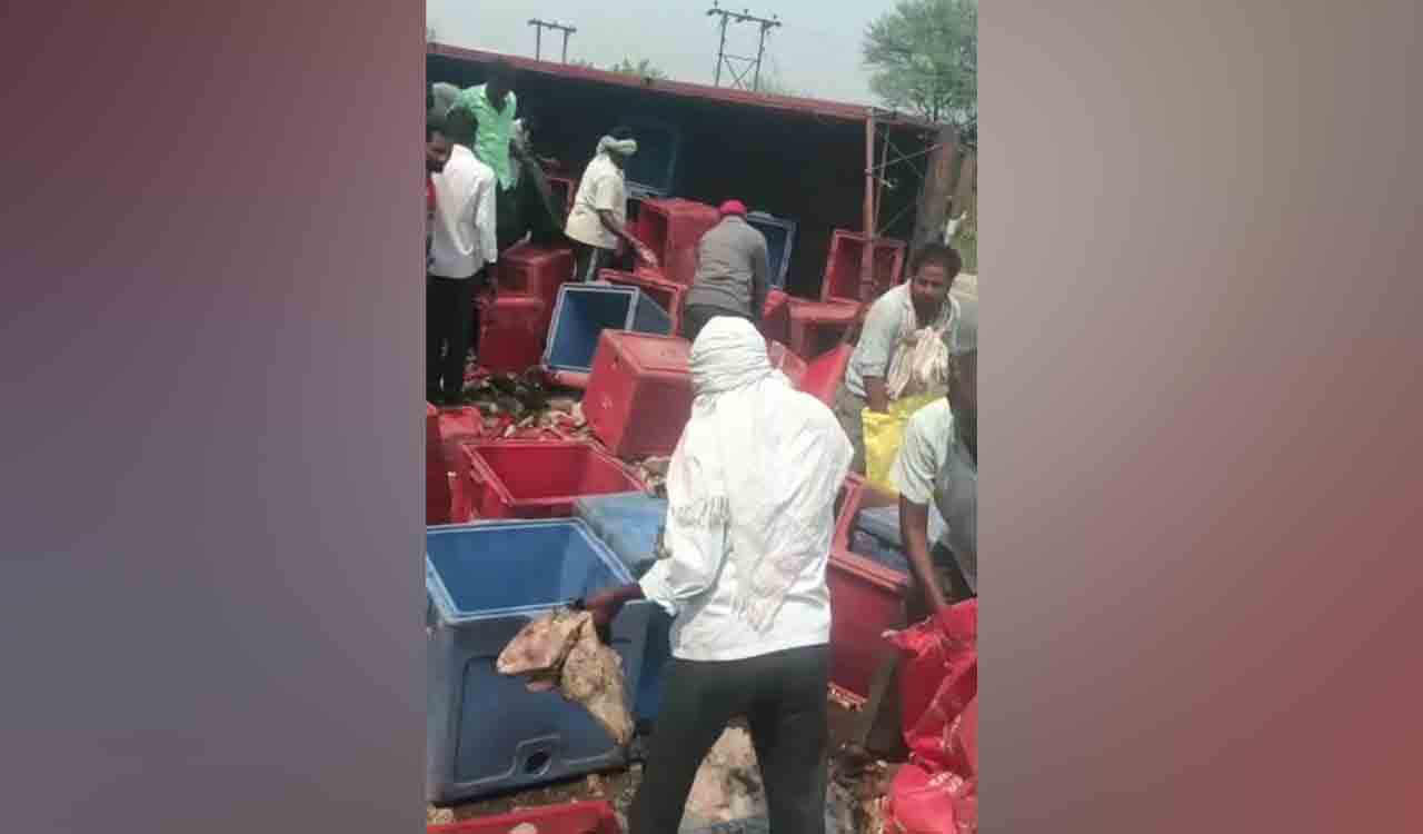 Lorry carrying goat heads, legs overturns near Toopran