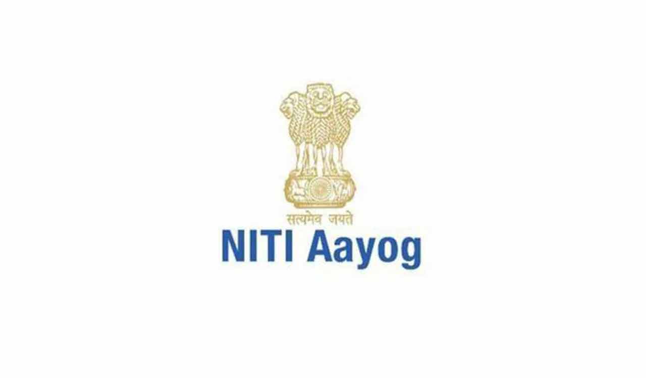 Milk output projected to grow 6 percent annually, says Niti Aayog report