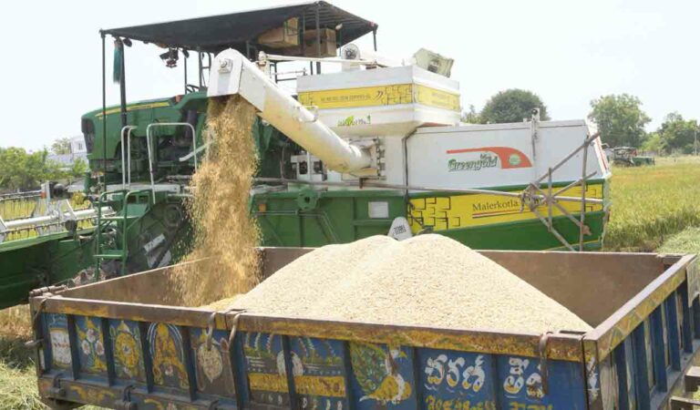 Paddy Procurement