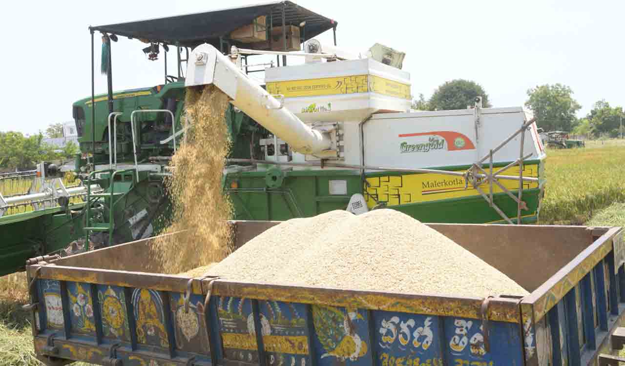 Officials gear up for paddy procurement in Warangal, Hanamkonda