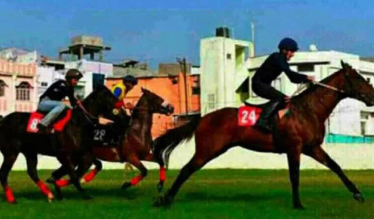 Horse Racing: Romualdo fancied for Ooty selections