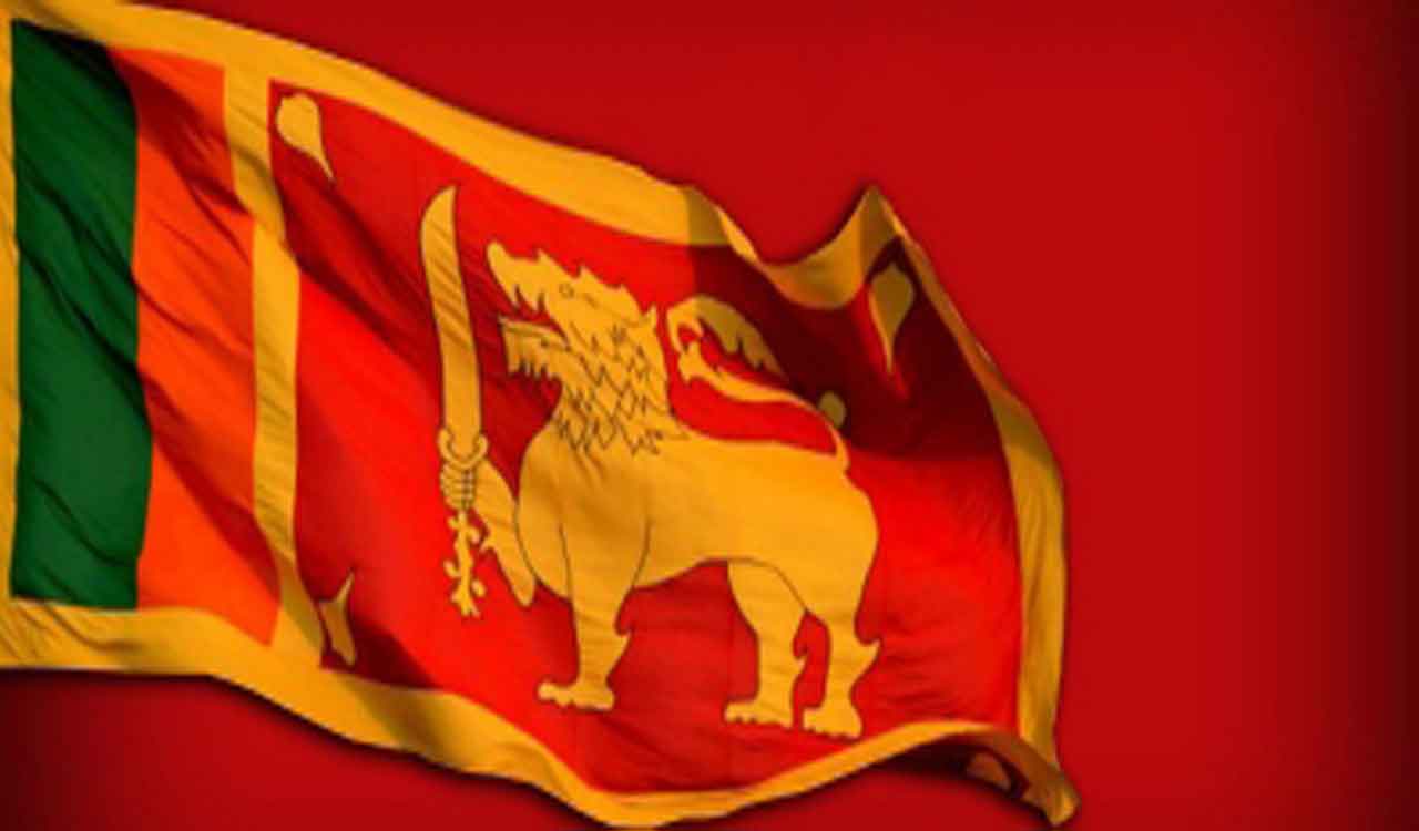 Cash-strapped Sri Lanka considers exporting 1,00,000 endangered monkeys to China