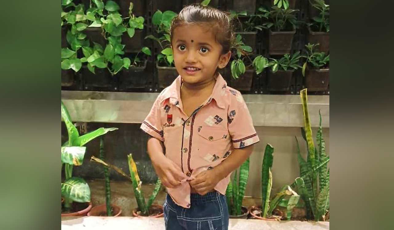 Siddipet: Three-year-old killed after monkeys send boulder rolling down from roof