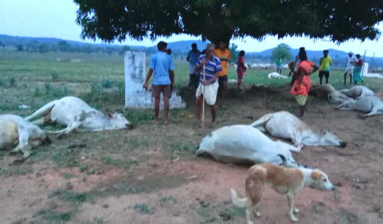 Telangana