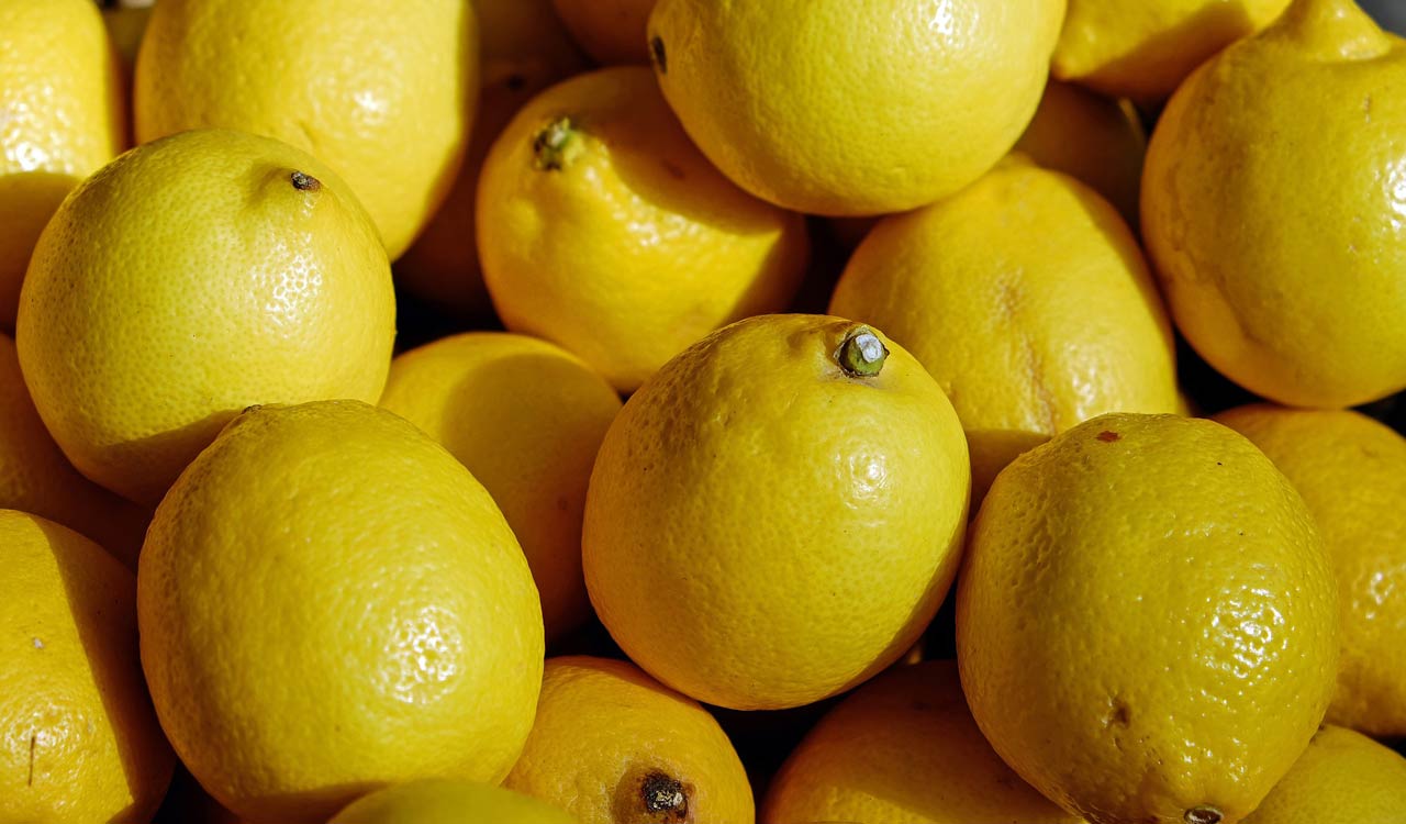 Lemon farmers in Andhra Pradesh sour due to a dip in price and export