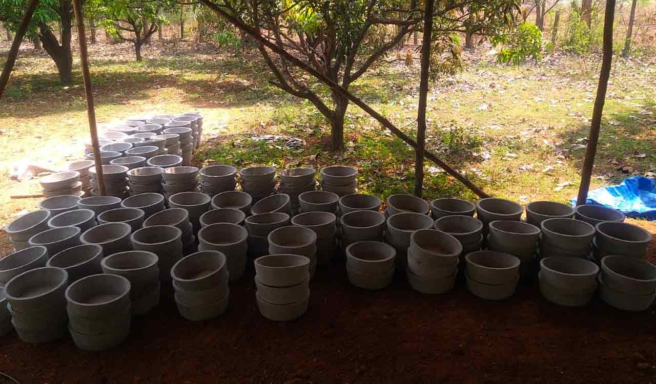 Hyderabad: Animal Warriors Conservation Society places water bowls to help birds