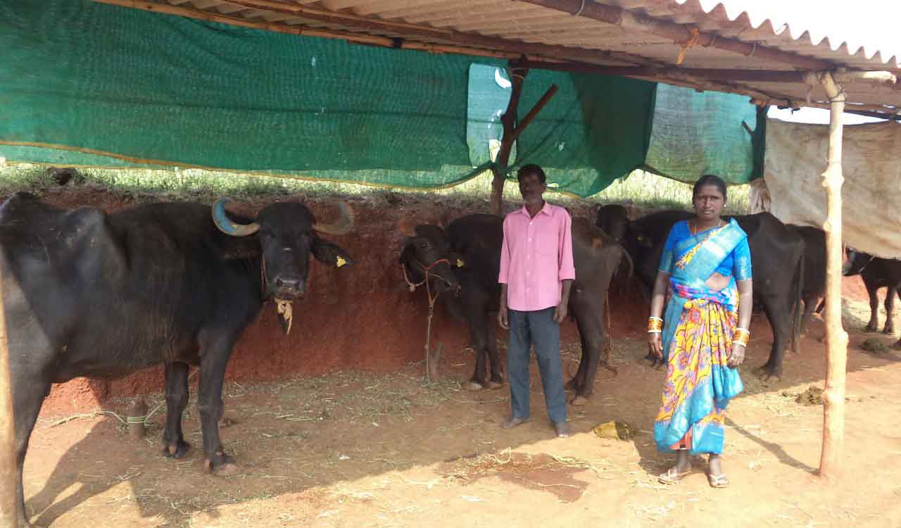 Dalit Bandhu: From taking hand loans to funding others grow in life