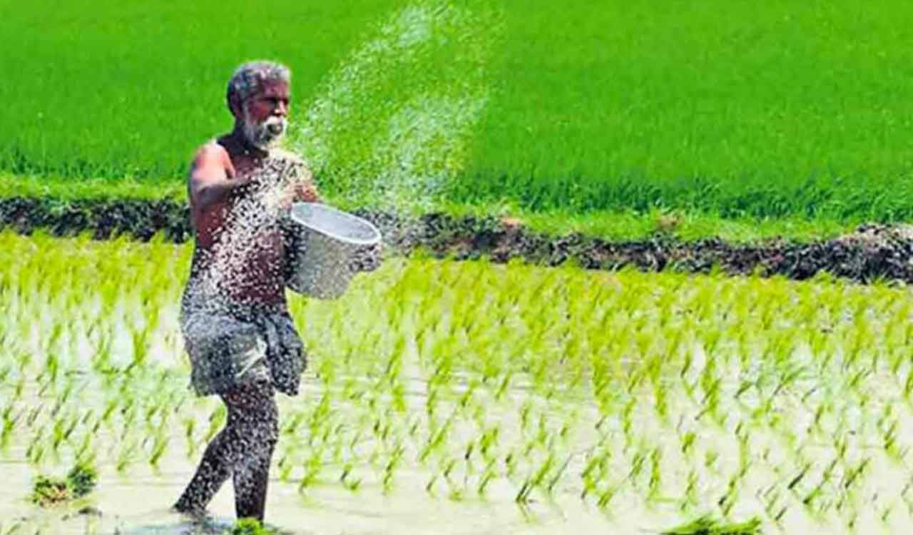 Maharashtra farmers suffer as govt turns deaf ear to their plight