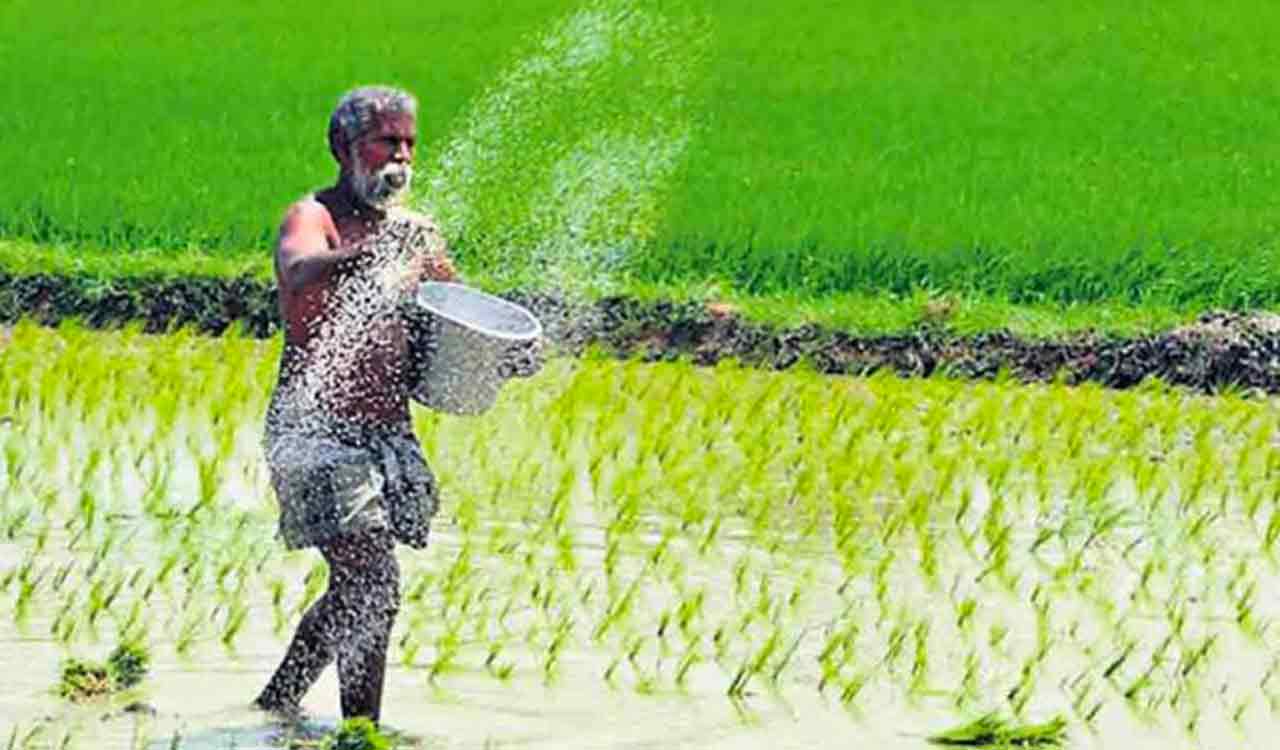 Majority marginal farmers don’t want to leave agriculture: Study