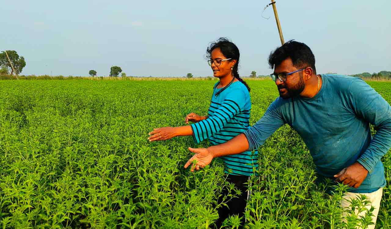 Asifabad techie, lecturer excel in natural farming