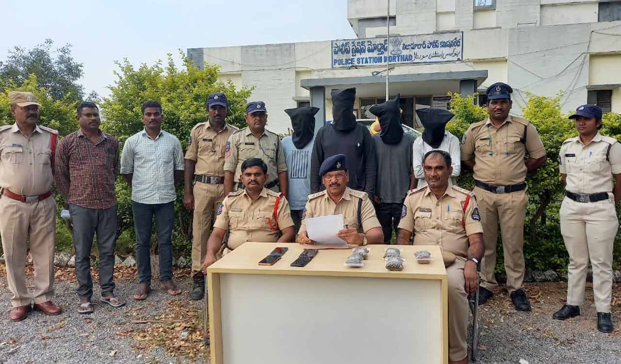 Nizamabad: Five, including a minor arrested for ganja peddling in Morthad
