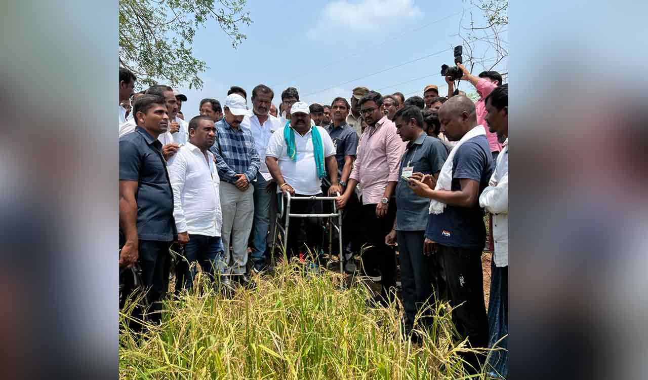 Telangana govt will compensate hailstorm hit farmers: Gangula Kamalakar 