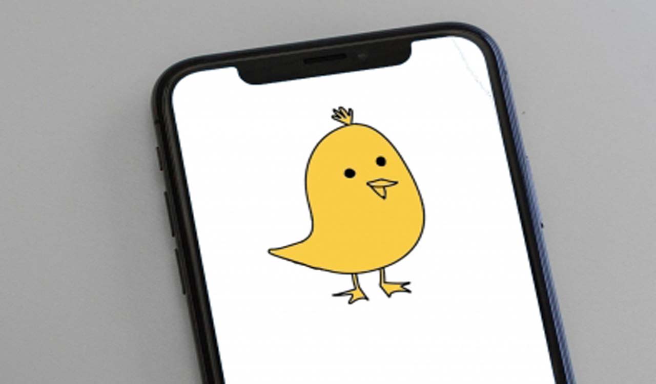 Twitter rival Koo lets go 30 percent staff over course of the year amid global slowdown