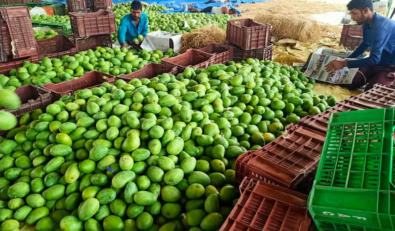 Telangana: Mango trade sees dull days in Jagtial market