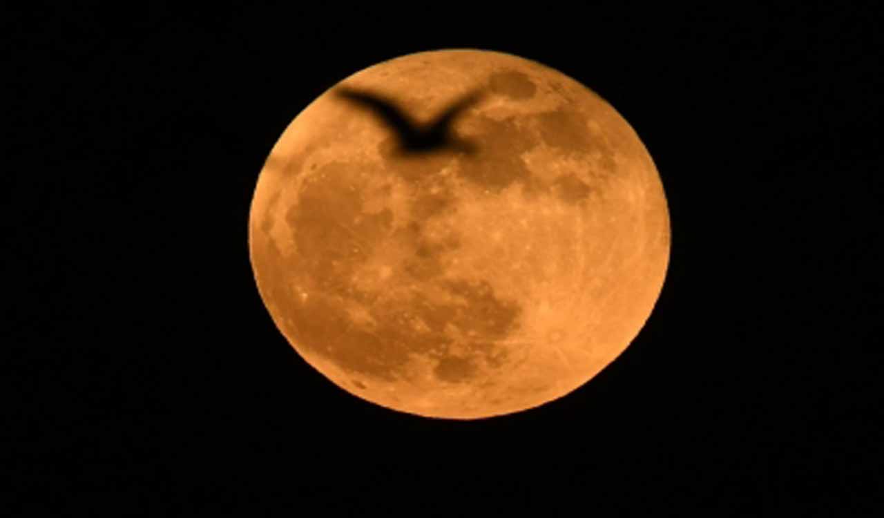 Why suicidal deaths spike during the full moon week