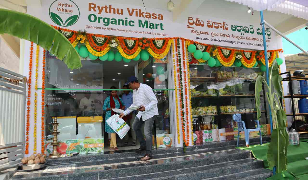 Organic farmers in Warangal to sell their produce online soon