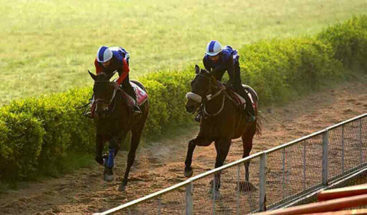 Horse Racing: Speculation fancied for Ooty selections