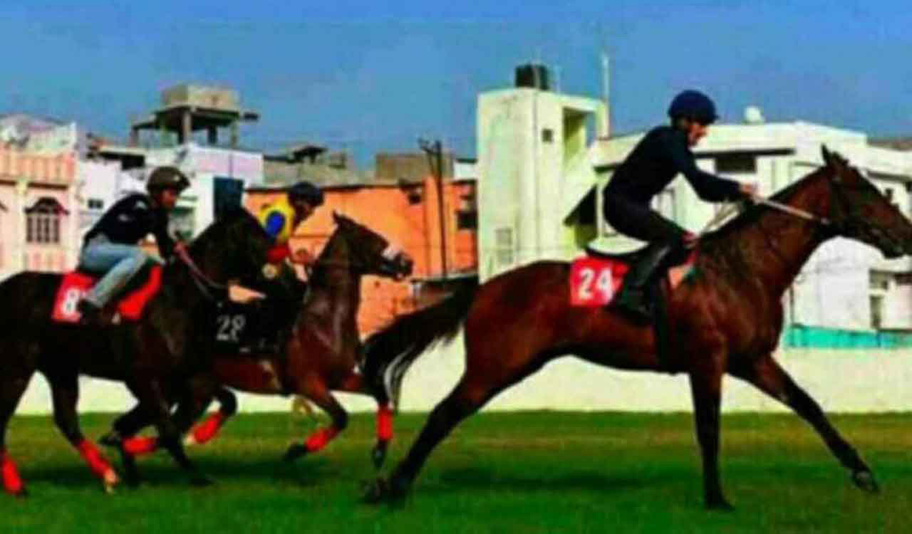 Horse Racing: Knotty Charmer fancied for Ooty feature