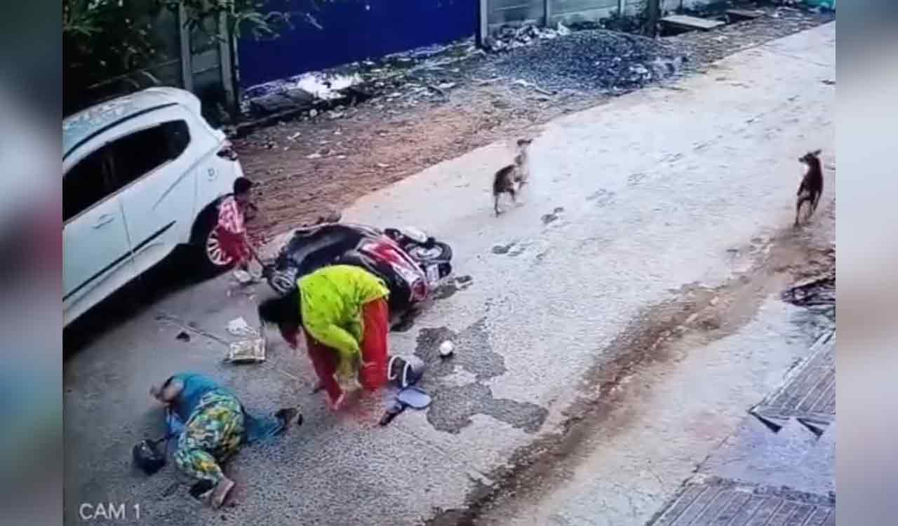 Fact check: Viral video of scooter chase by stray dogs not from Hyderabad
