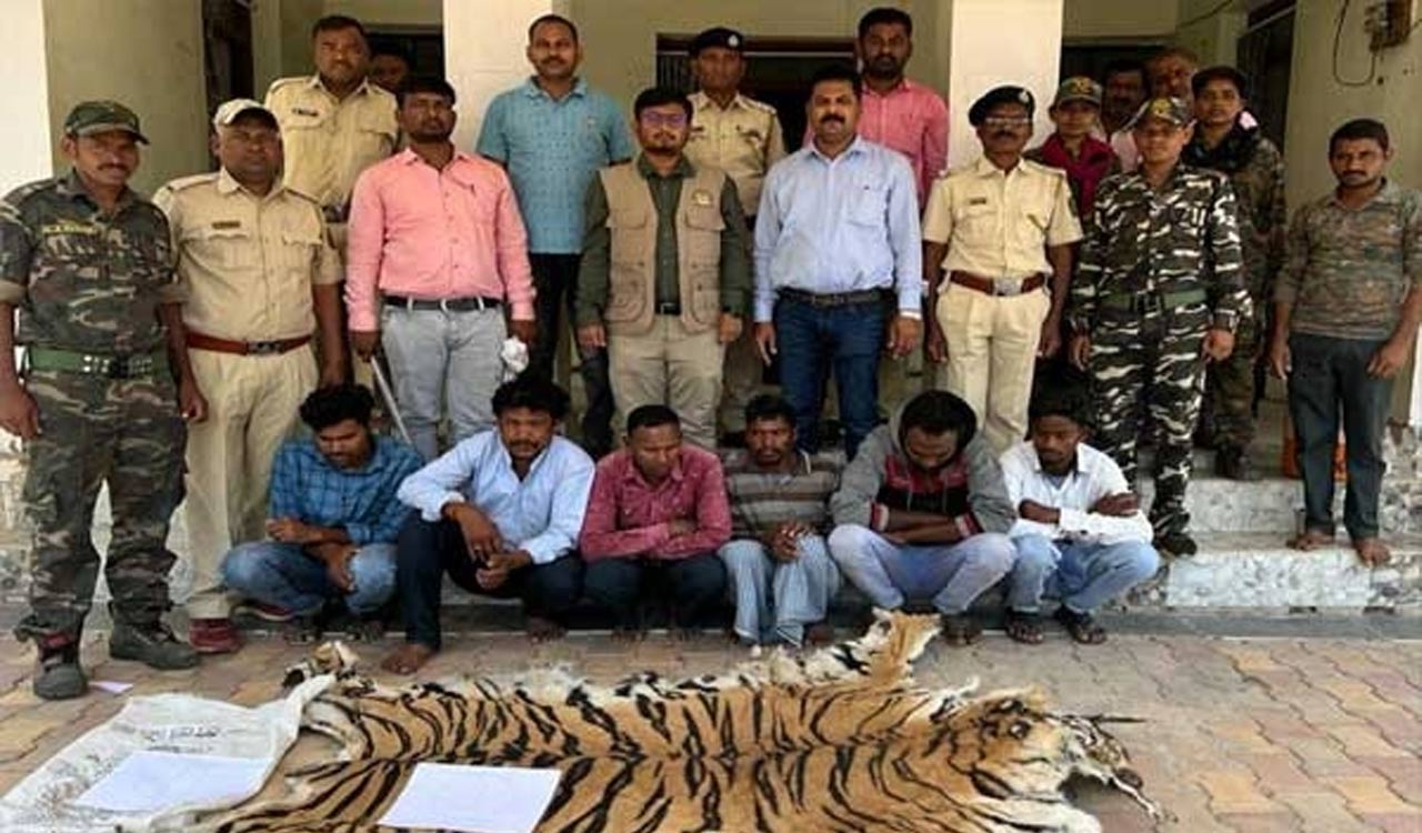 Tiger poaching gang from Telangana nabbed in Maharashtra