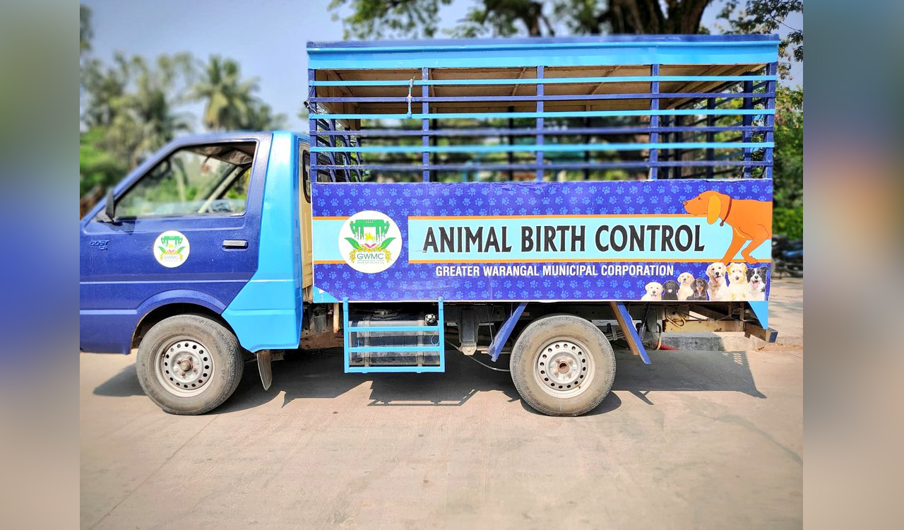 Warangal: GWMC to set up one more animal birth control centre